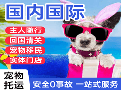 云冈航空运输国际宠物托运 【国